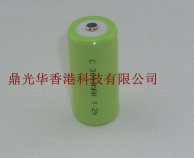 C 3000MAH 1.2V NI-MH 