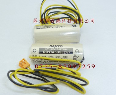 CR17450SE with plug